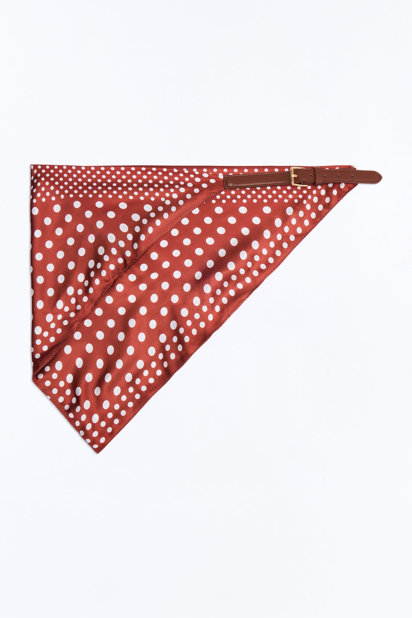 Adventure Ahead Bandana Scarf Belt - Brown Combo image 3